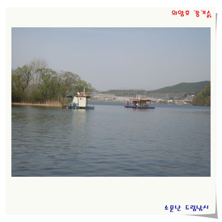 SL381341.jpg