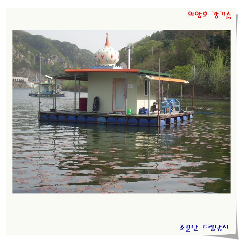 SL381342.jpg