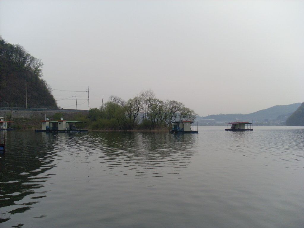 SL381335.JPG