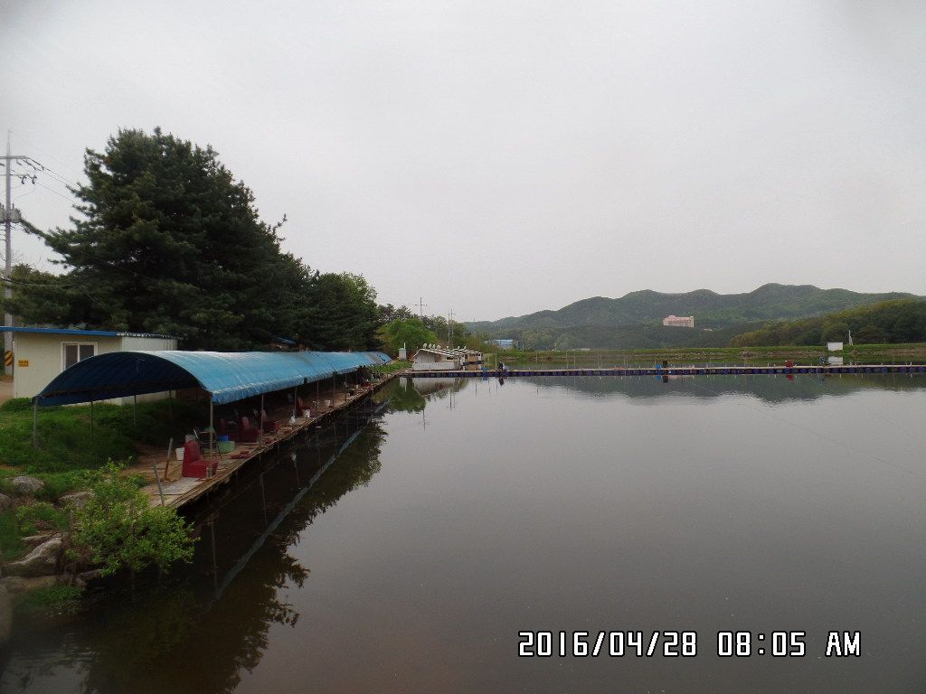 SAM_5300.JPG