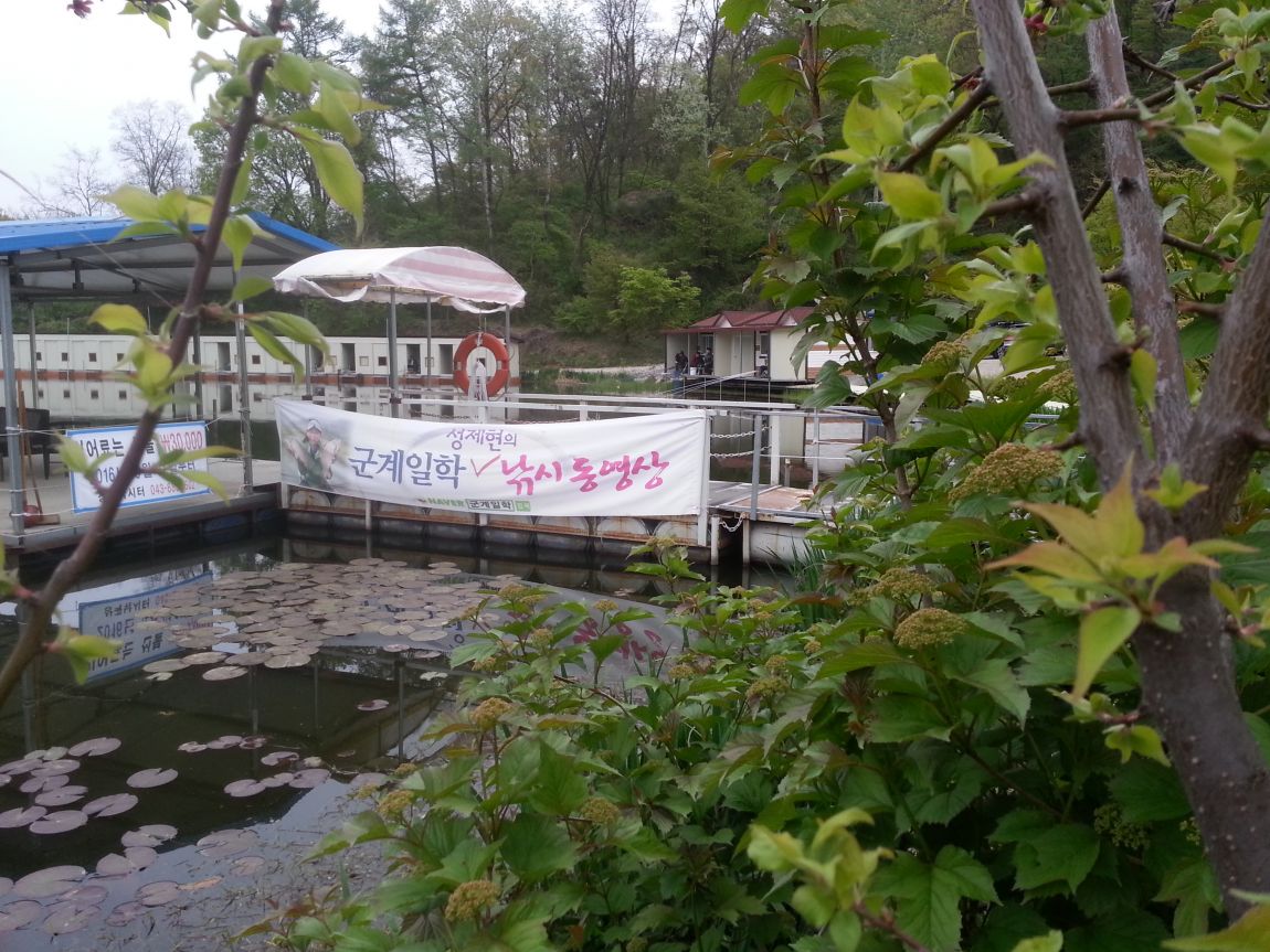 20160423_183834.jpg