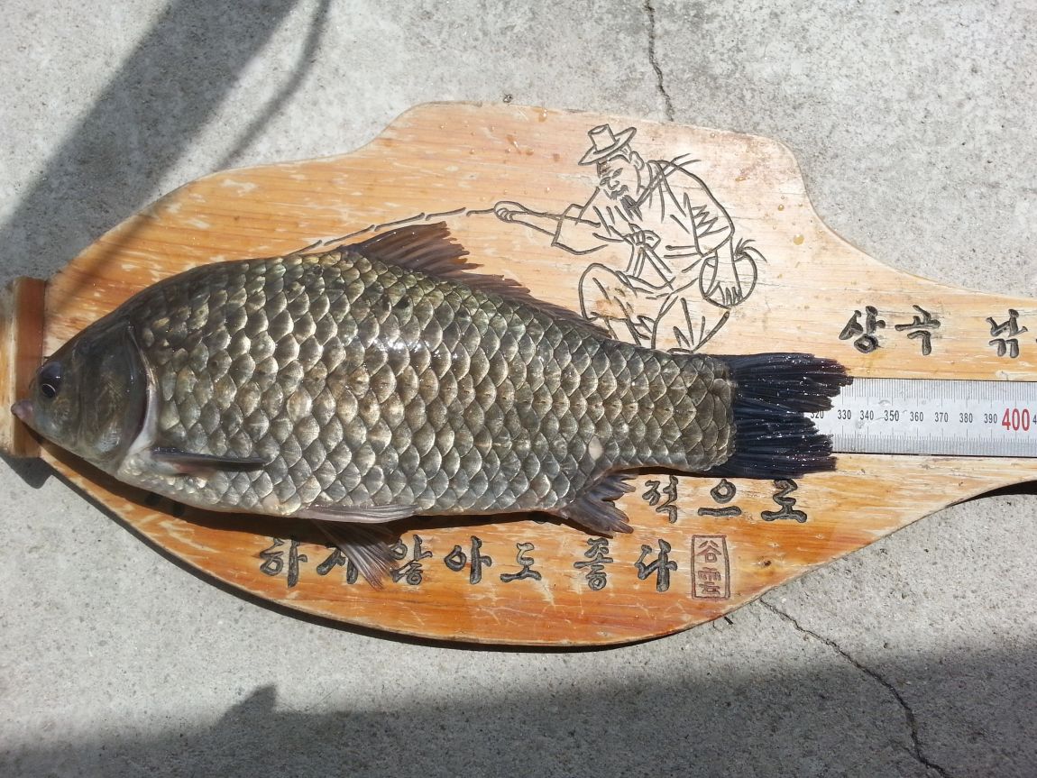 20160424_122413.jpg