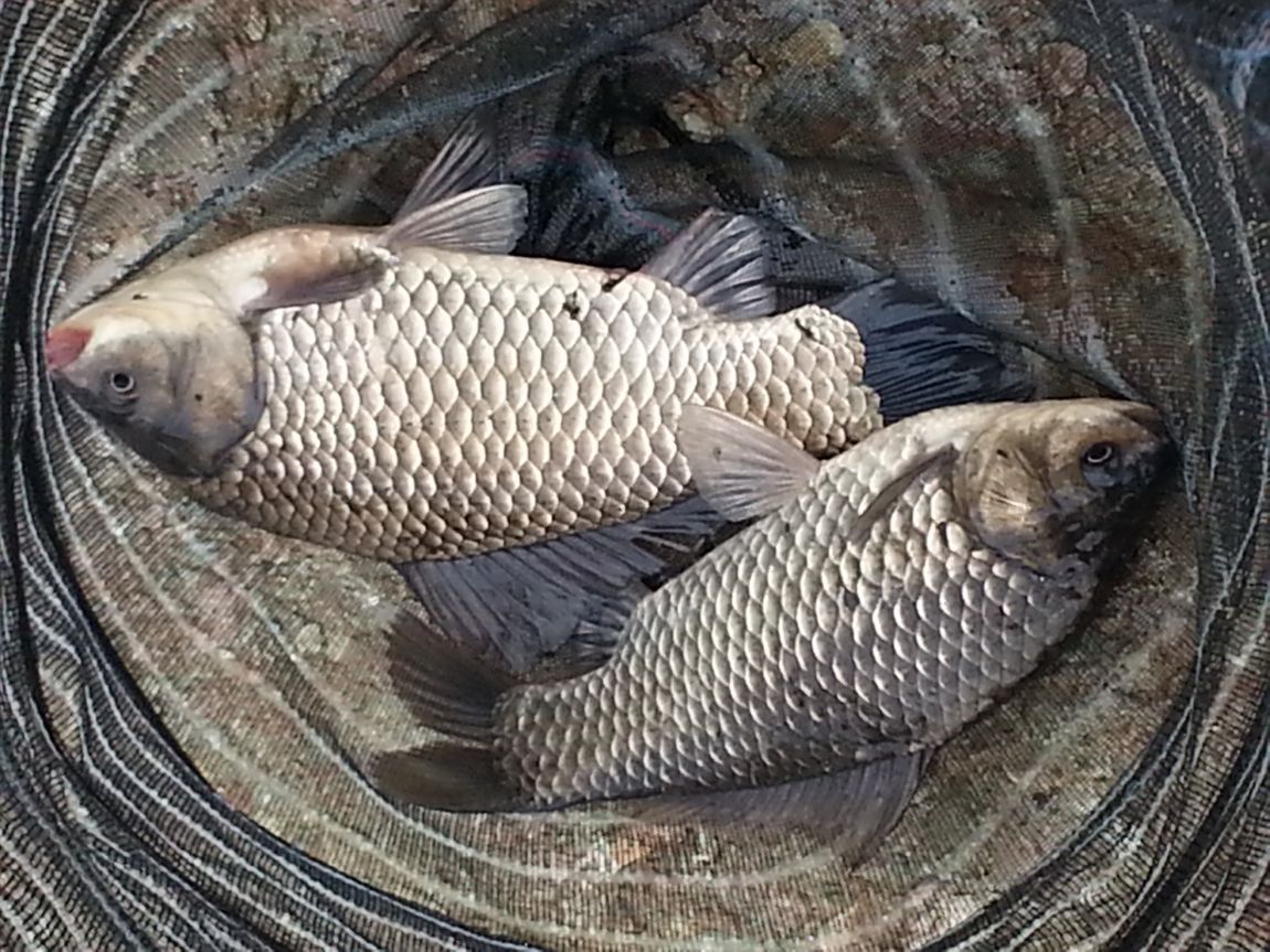 20160423_084605.jpg