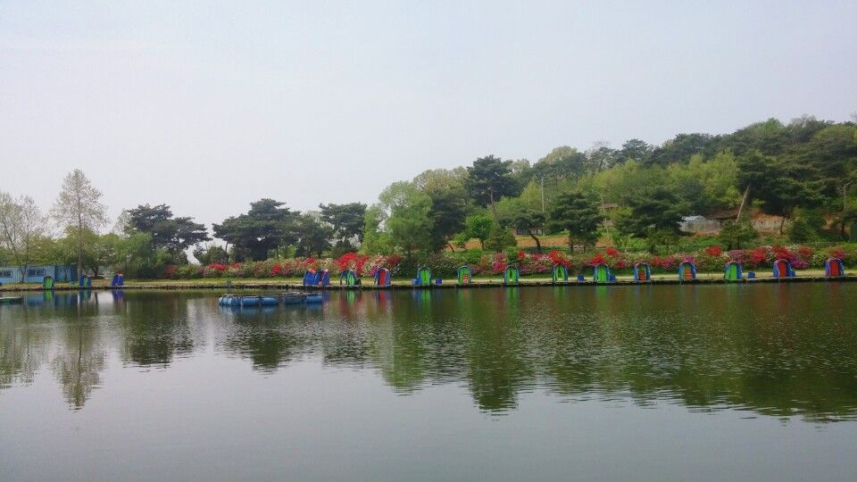 KakaoTalk_20160428_121920337.jpg