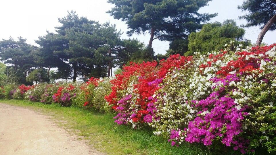 KakaoTalk_20160428_121924369.jpg