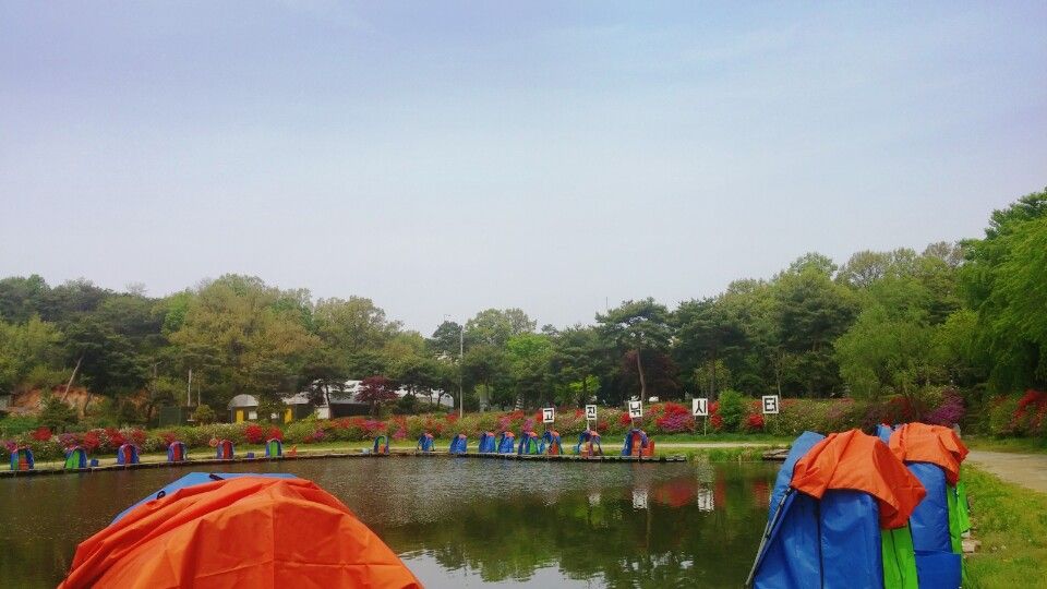 KakaoTalk_20160428_121920838.jpg