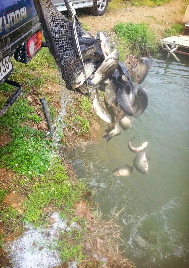 KakaoTalk_20160428_160450026.jpg