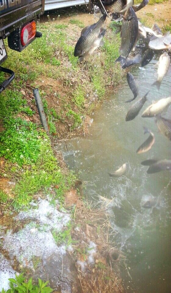 KakaoTalk_20160428_160618703.jpg
