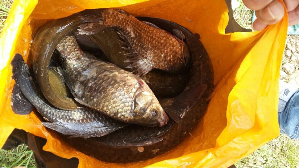 KakaoTalk_20160428_160919369.jpg