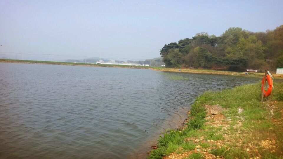 KakaoTalk_20160428_162357621.jpg