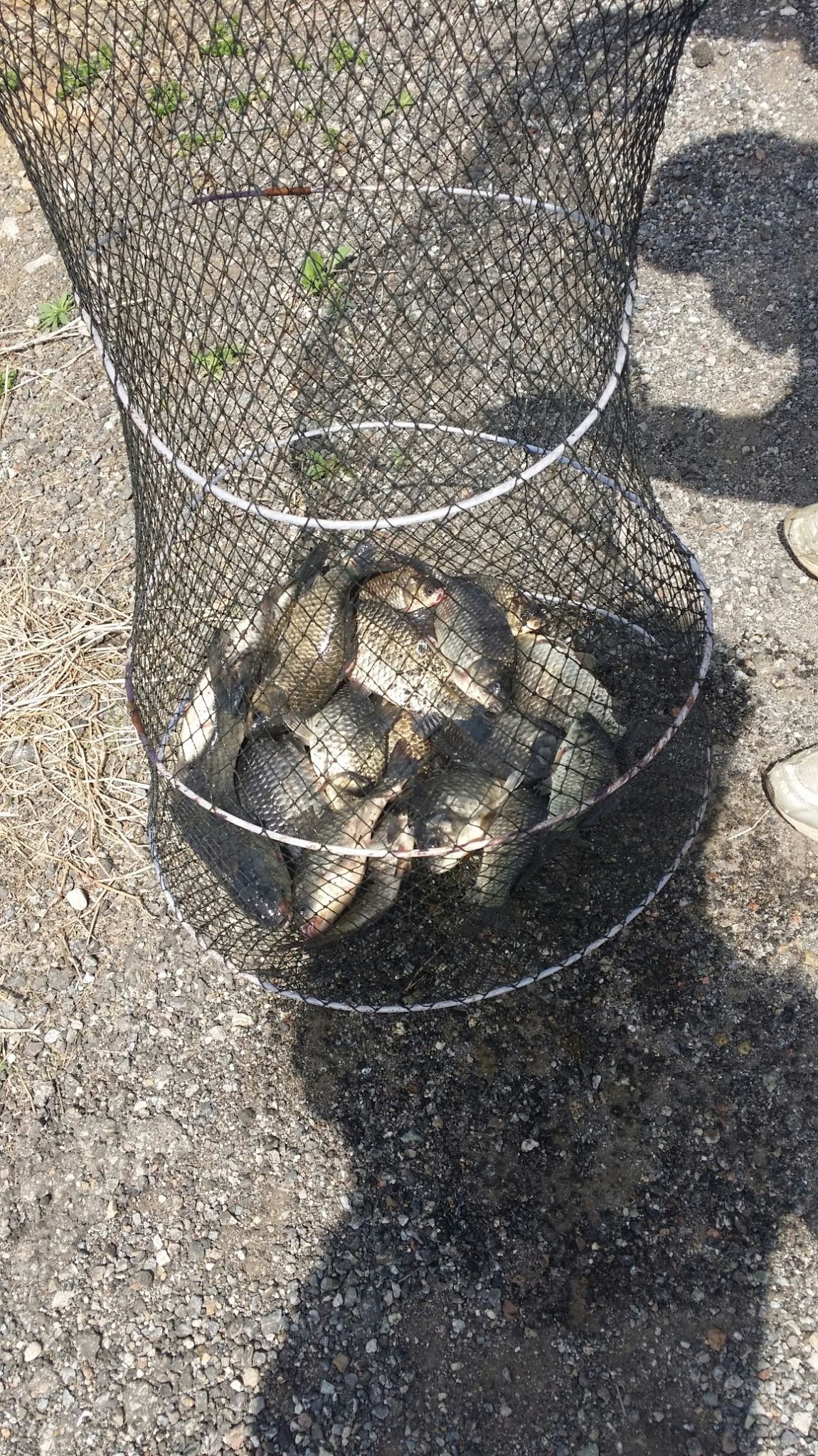 20160424_111725.jpg
