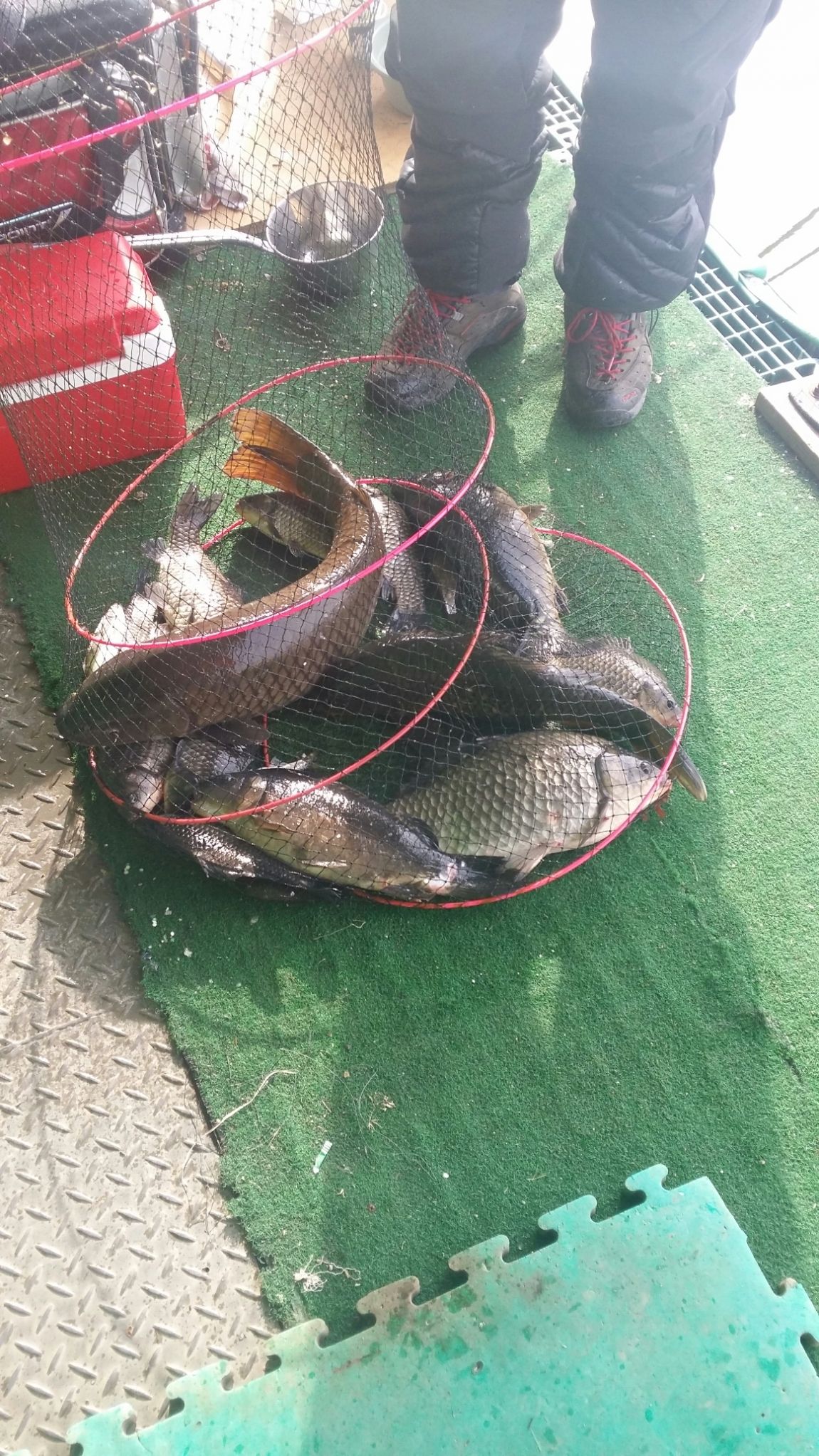 20160424_080747.jpg