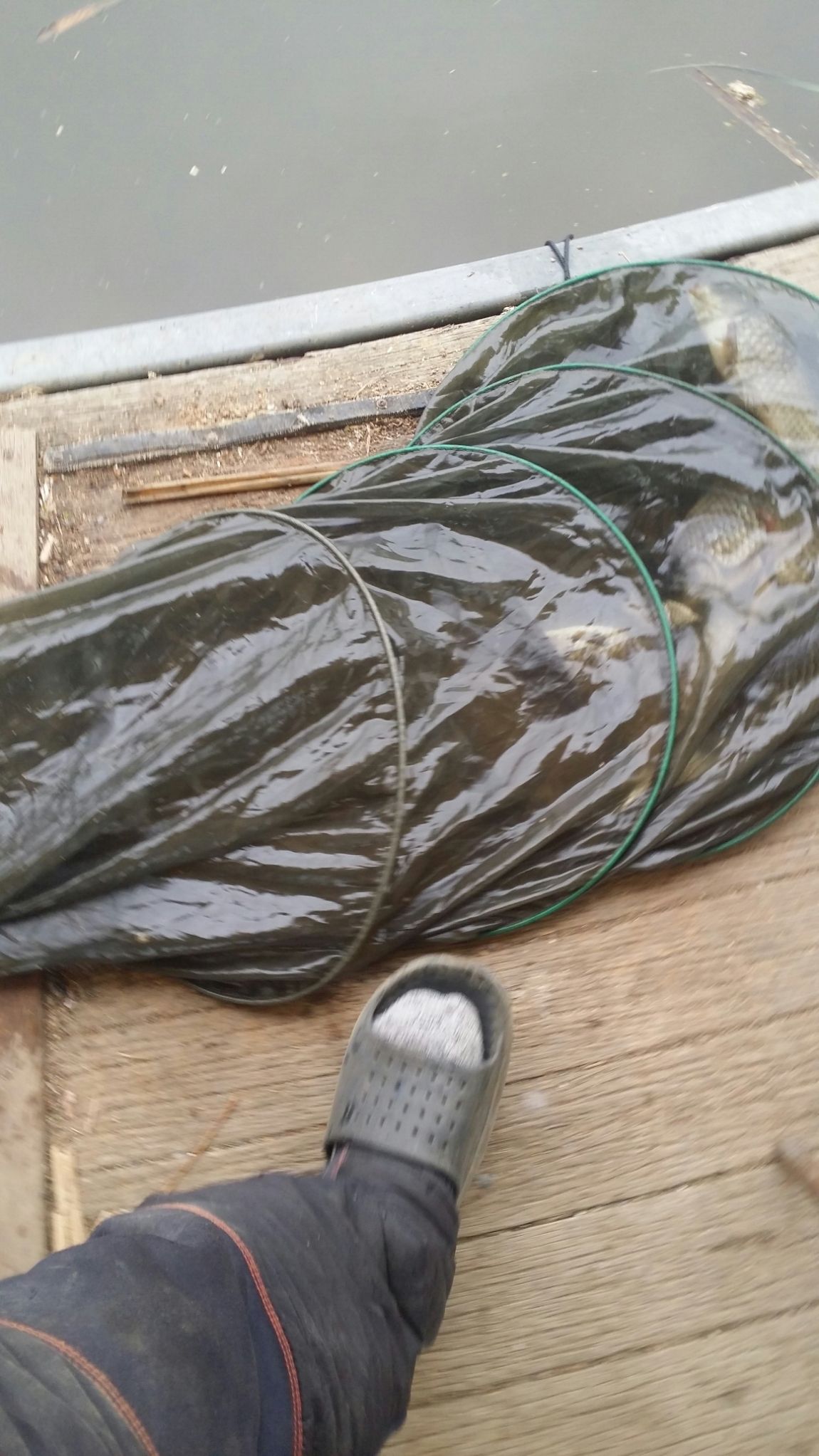 20160427_153509.jpg