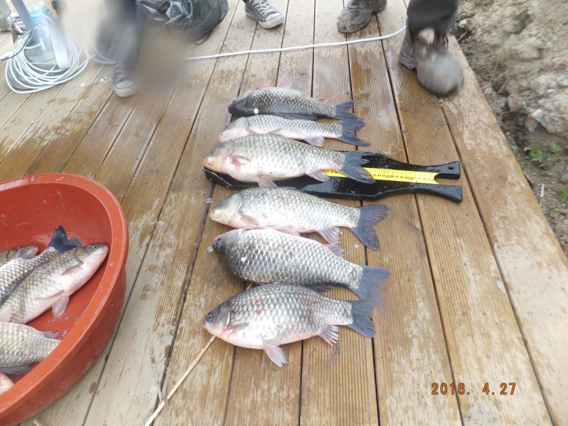 201300703 040.jpg
