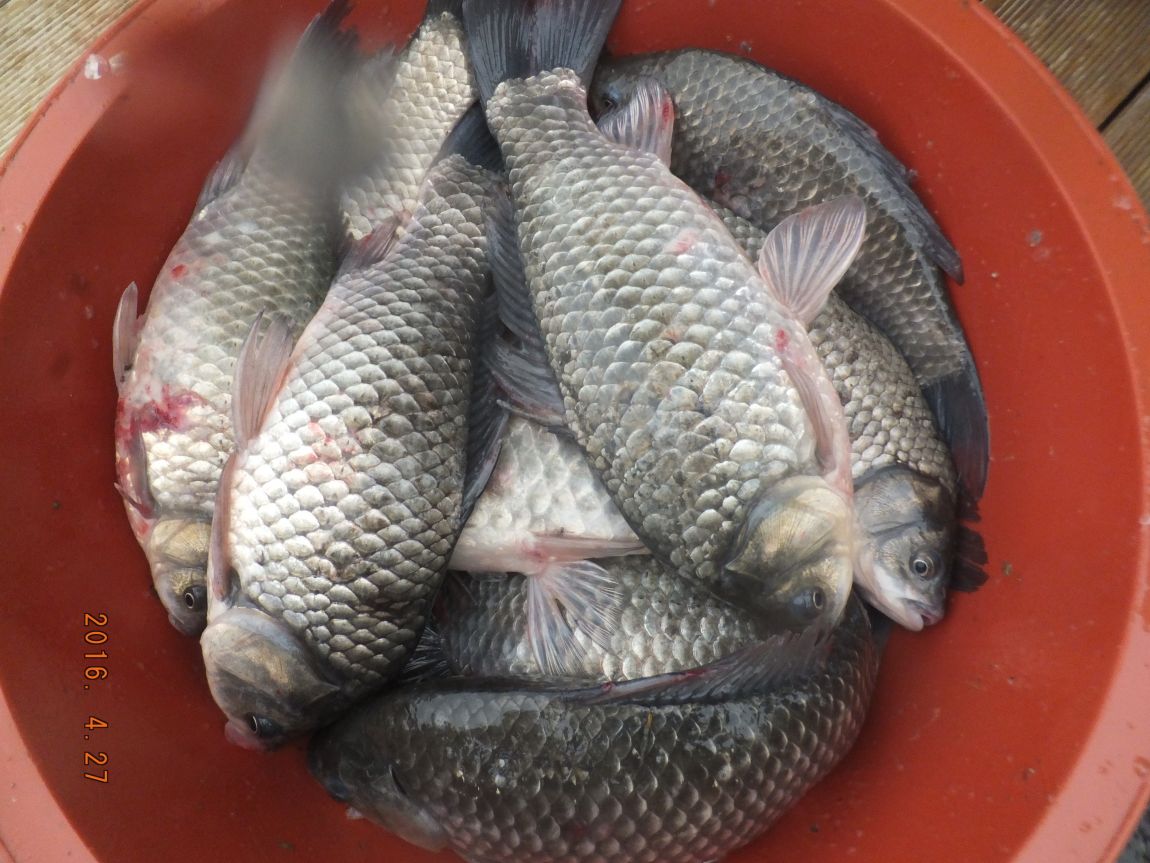 201300703 036.jpg