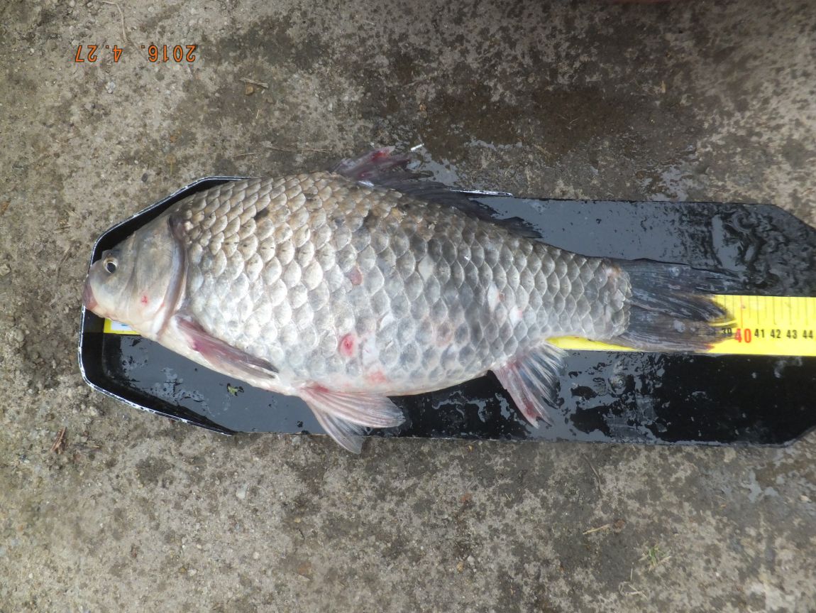 201300703 025.jpg