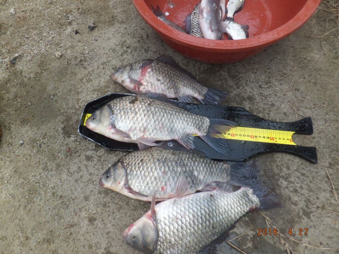 201300703 026.jpg