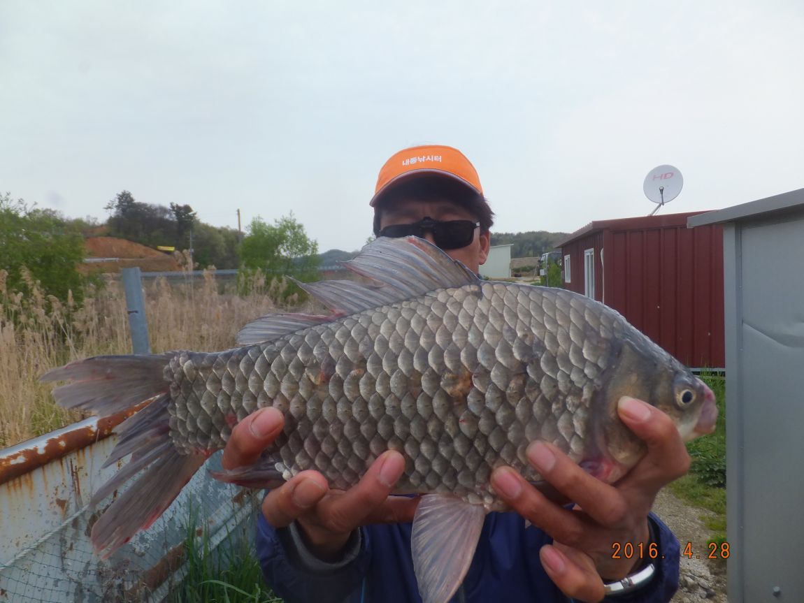 201300703 094.jpg