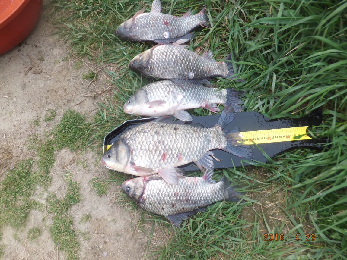201300703 093.jpg