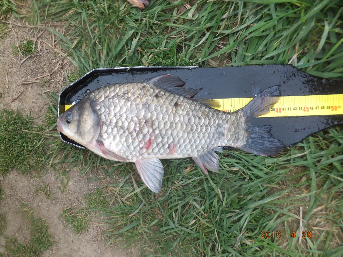 201300703 092.jpg