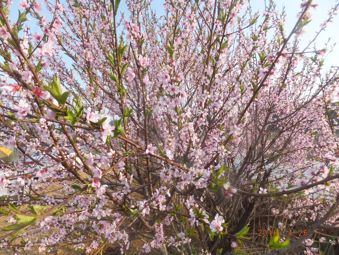 201300703 011.jpg