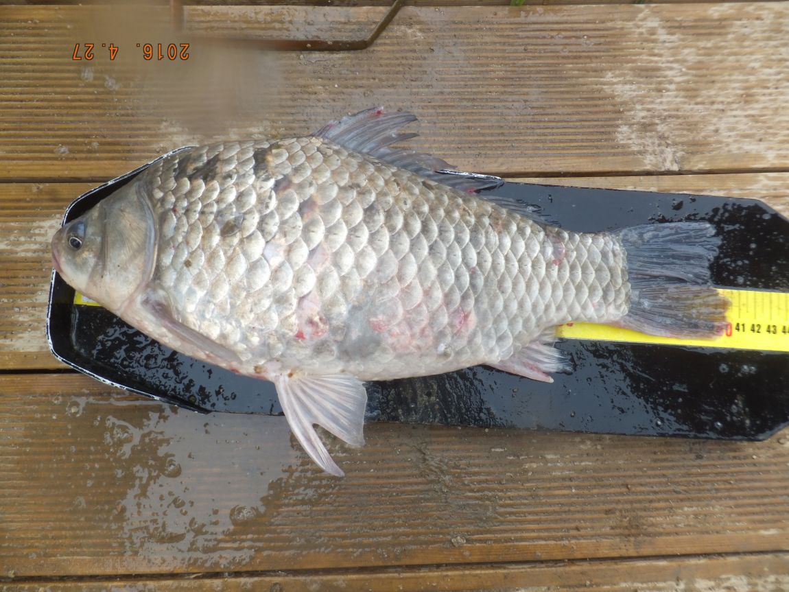 201300703 045.jpg