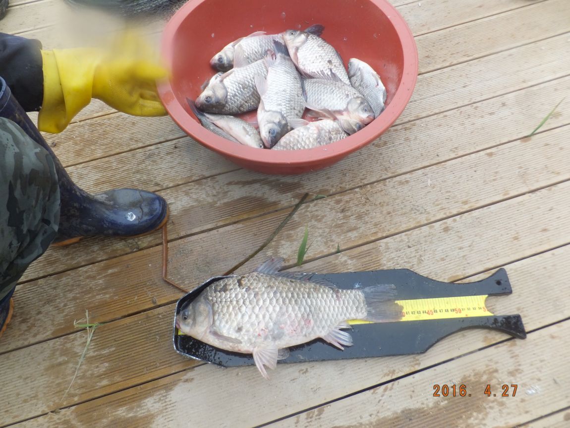 201300703 046.jpg
