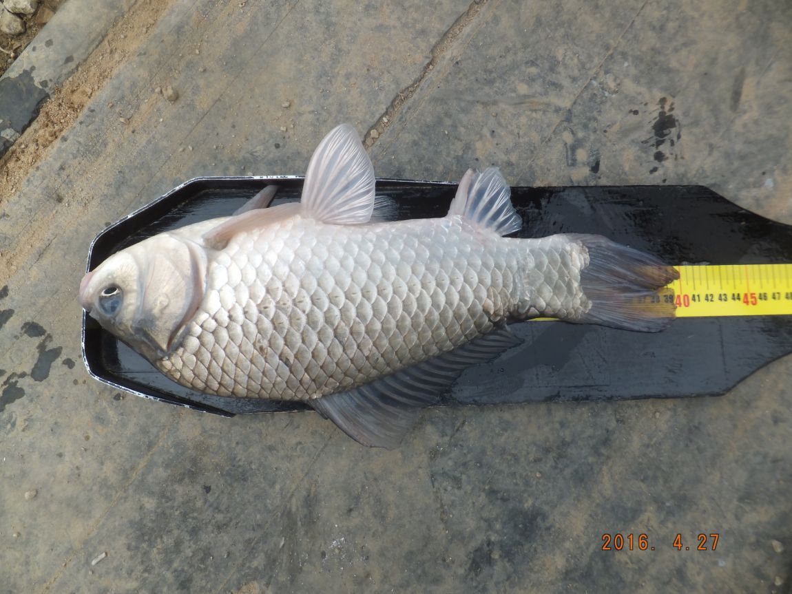 201300703 066.jpg