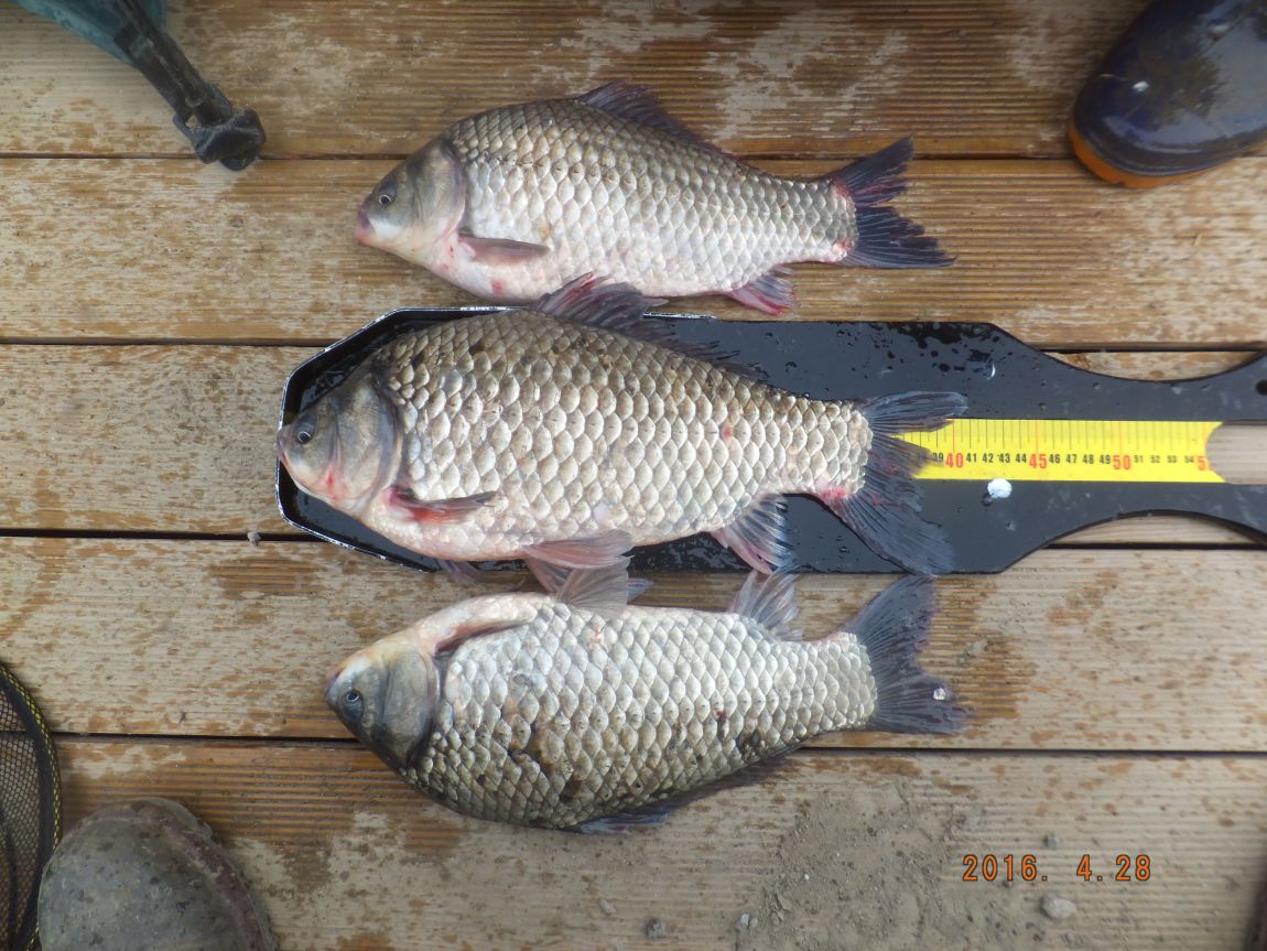201300703 101.jpg