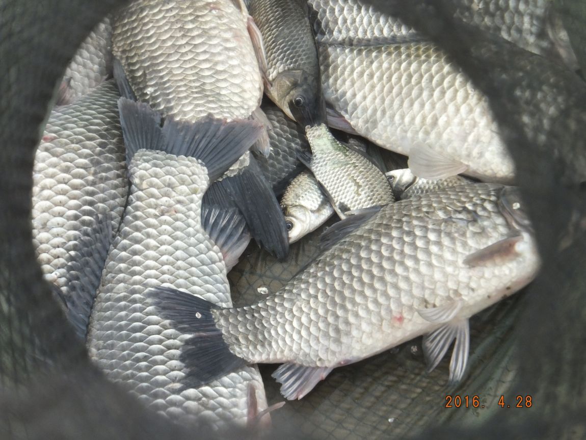 201300703 103.jpg