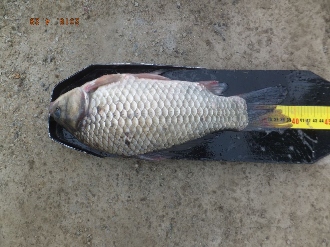 201300703 076.jpg