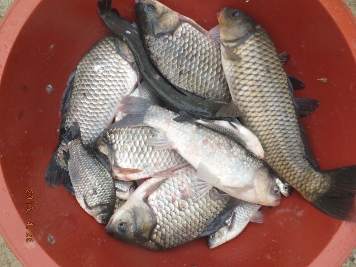 201300703 075.jpg