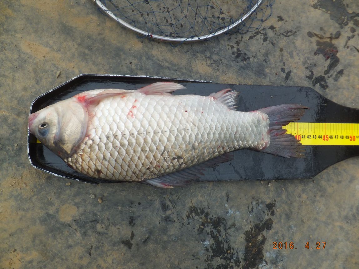 201300703 057.jpg
