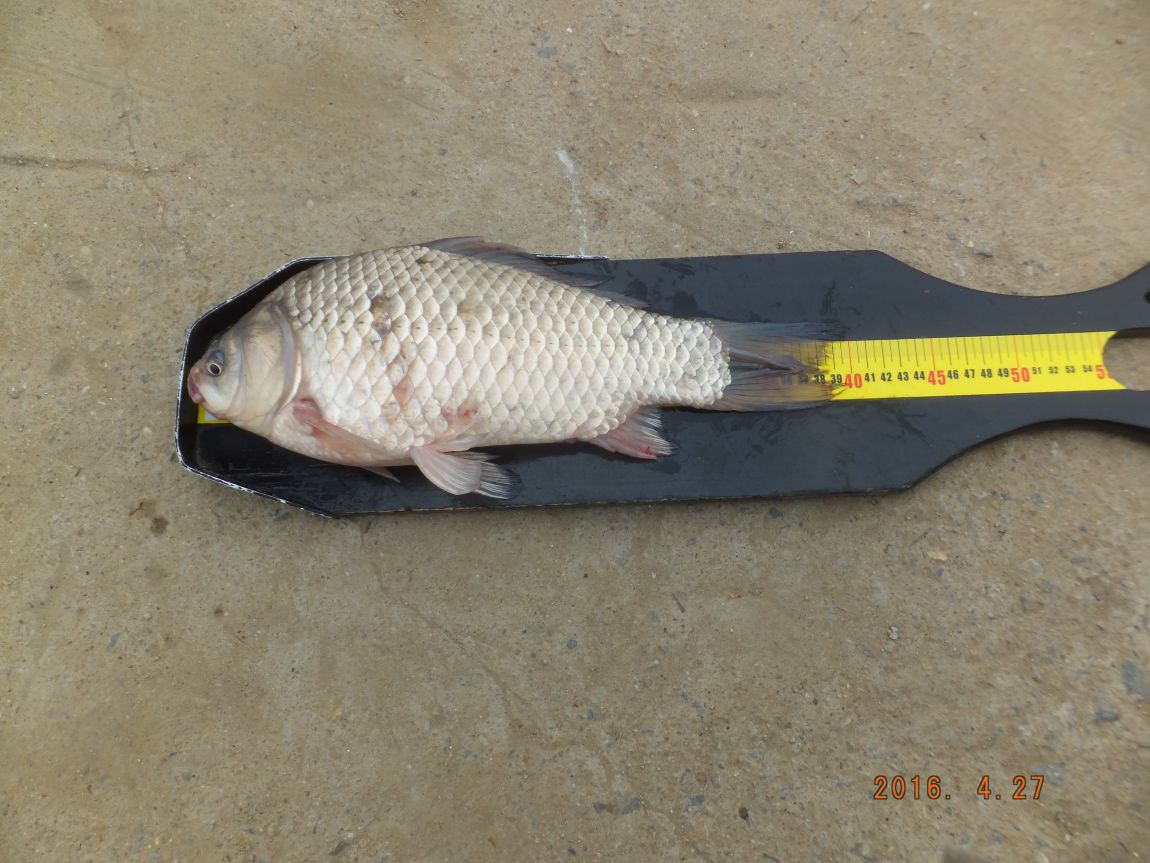 201300703 052.jpg
