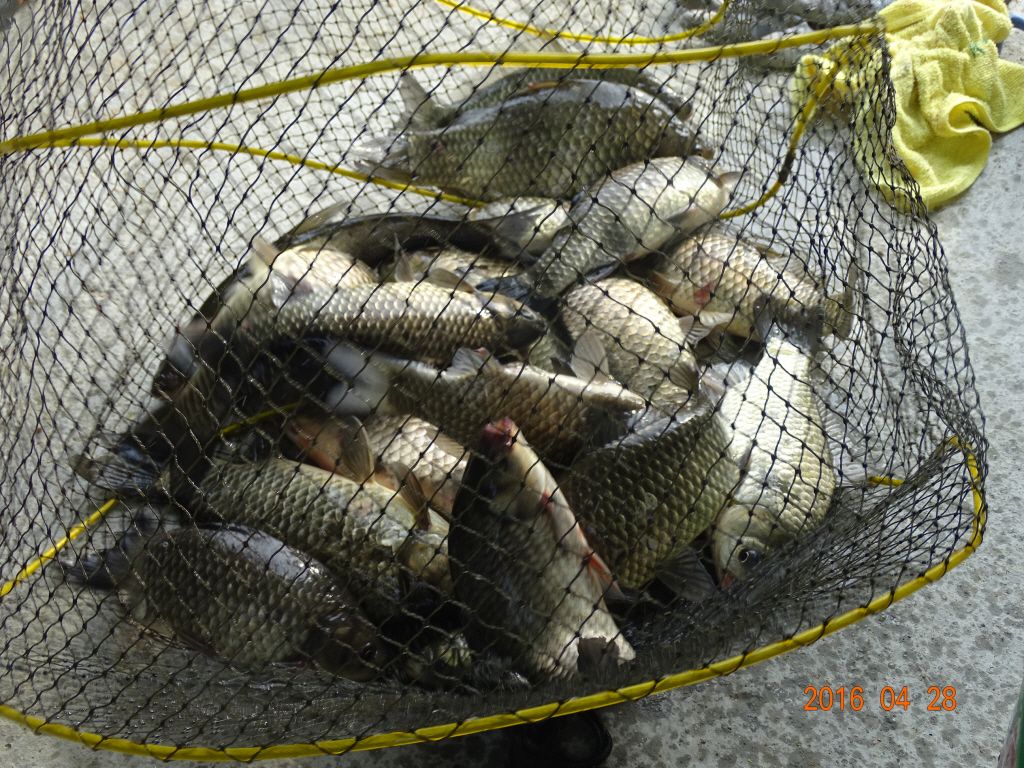�ϰ�����_�ϰ�����_DSC04014.jpg