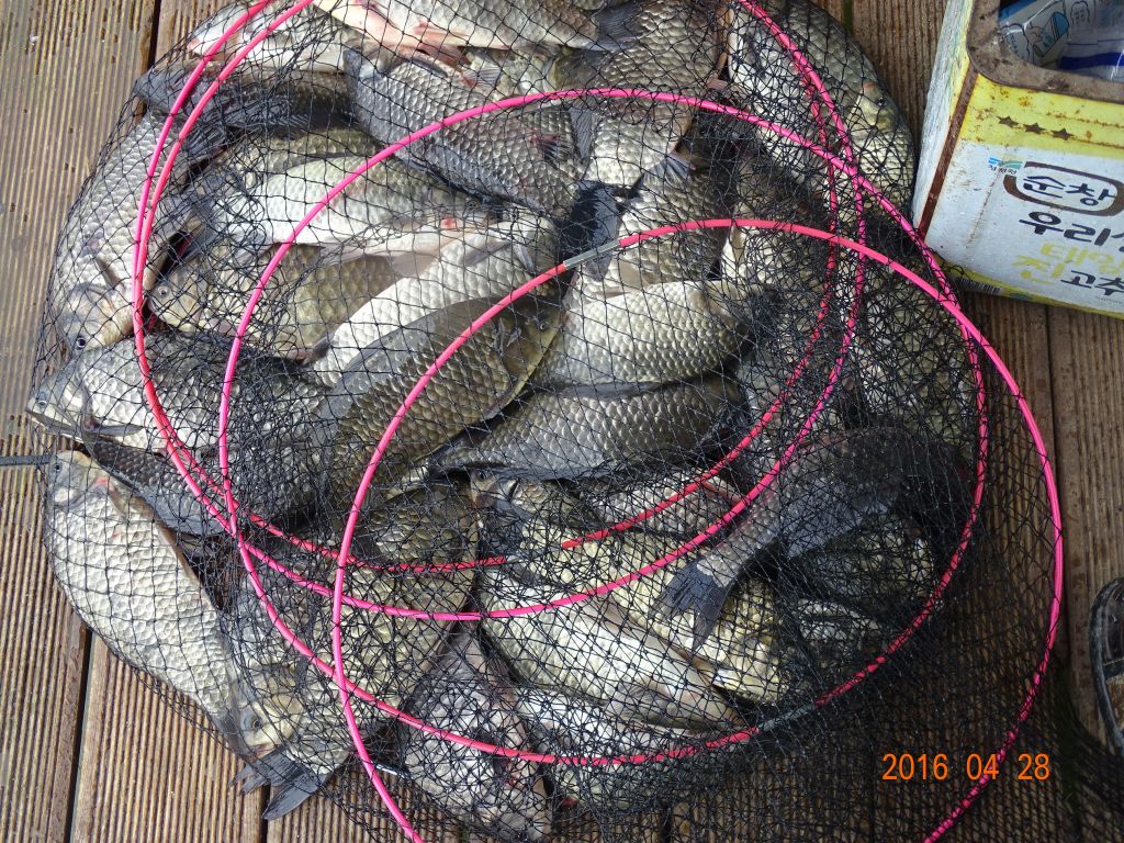 �ϰ�����_�ϰ�����_DSC04070.jpg