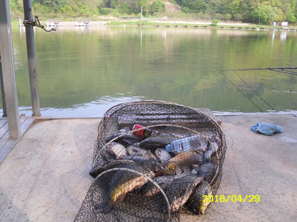 SDC10588.JPG