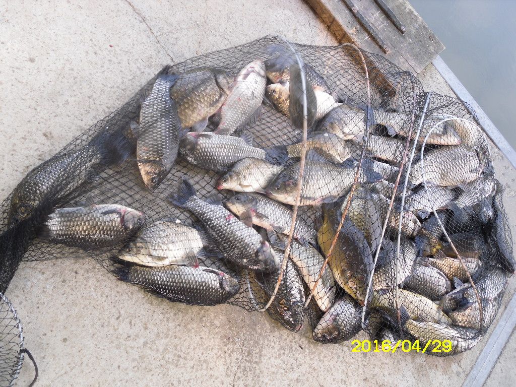 SDC10590.JPG
