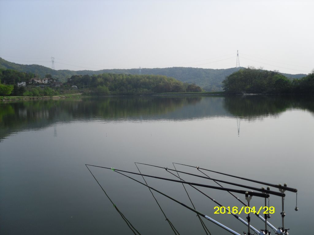 SDC10596.JPG