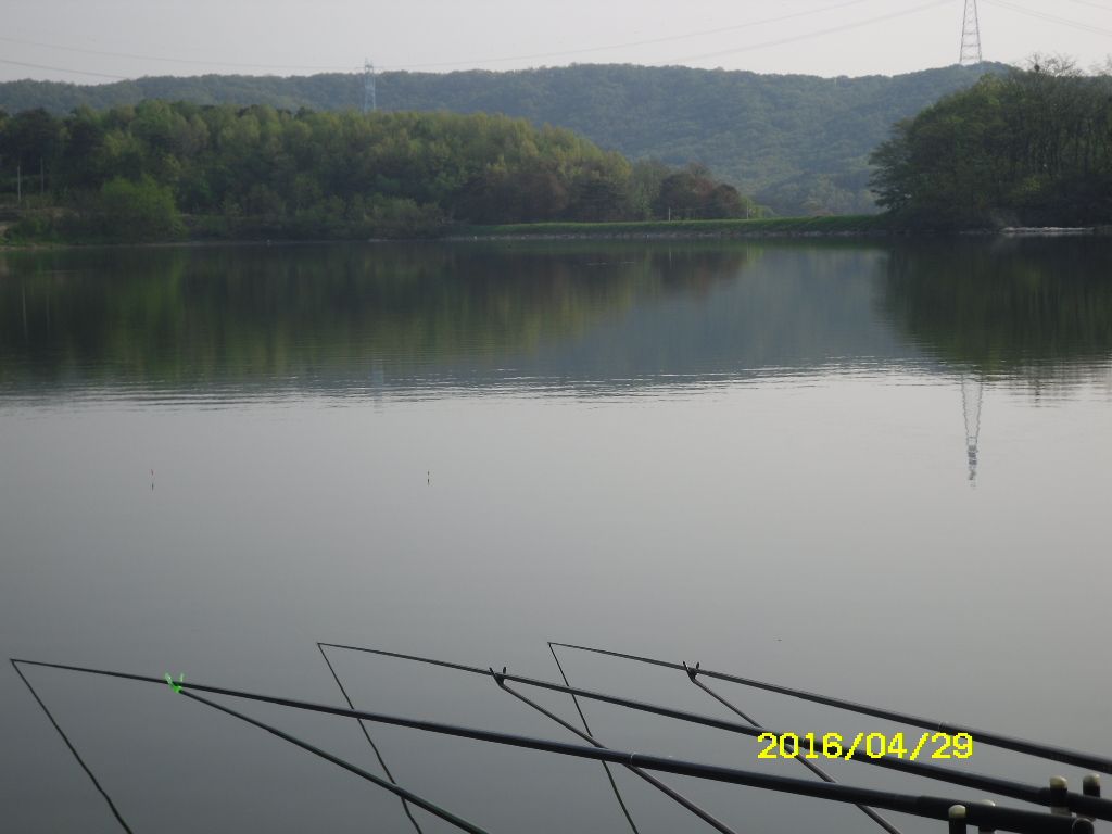 SDC10597.JPG