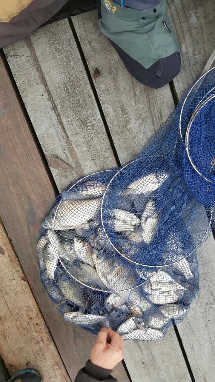 20160213_103834.jpg