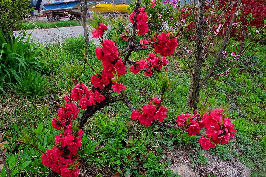 �ٹ̱�_IMG_0053.jpg
