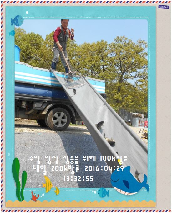 �ٹ̱�_DSCN1303.JPG