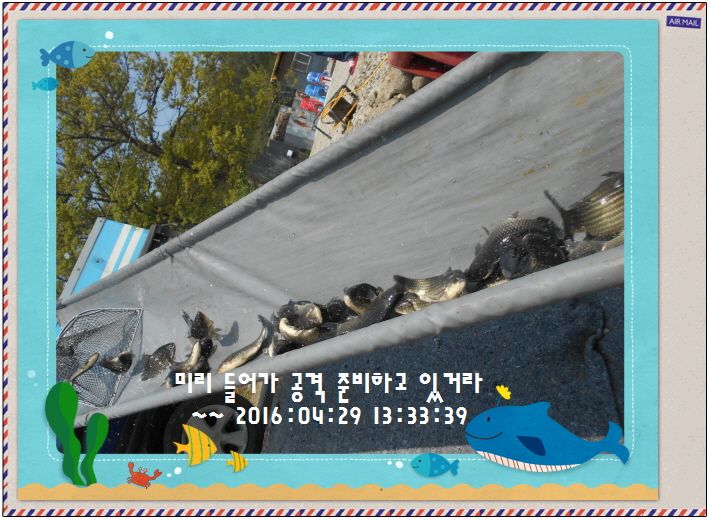 �ٹ̱�_DSCN1306.JPG