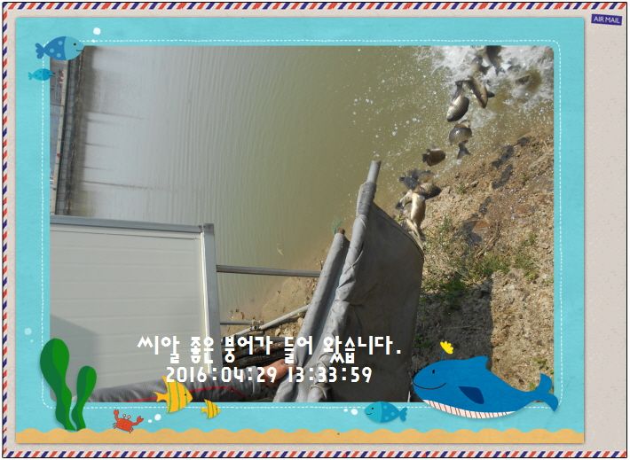 �ٹ̱�_DSCN1307.JPG