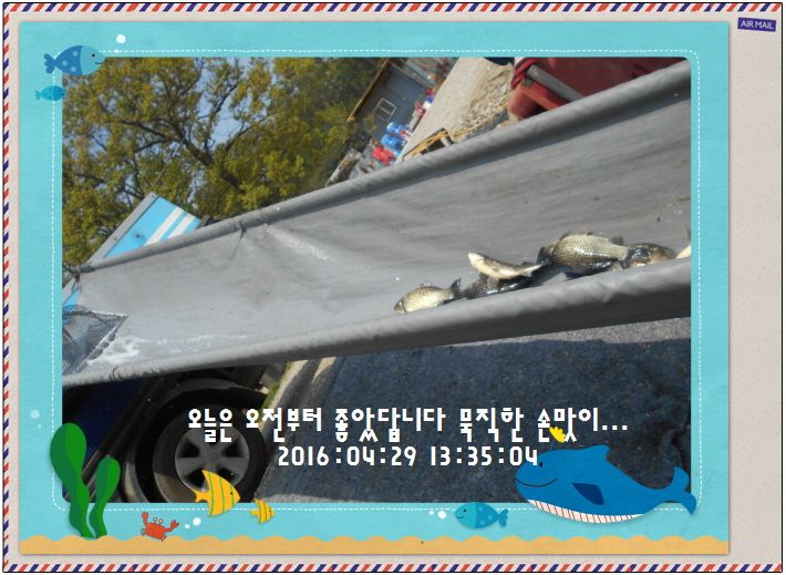 �ٹ̱�_DSCN1309.JPG