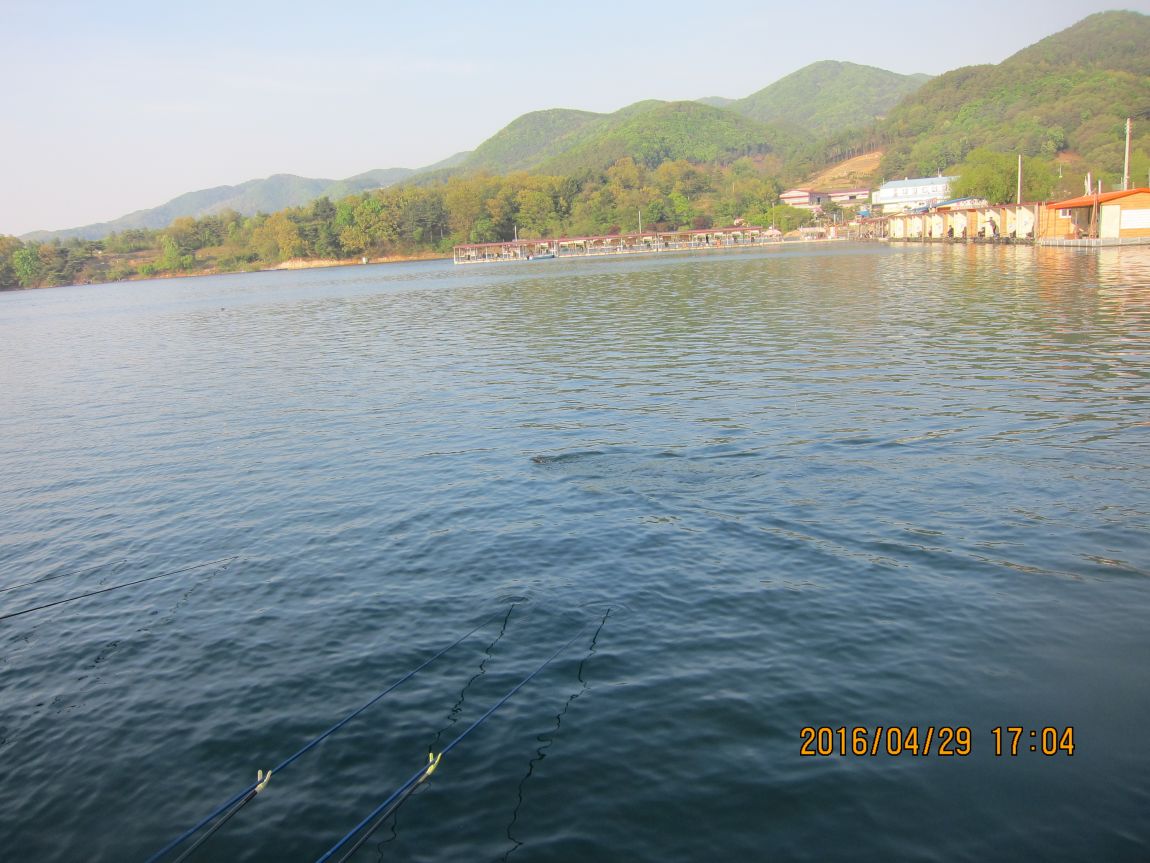 IMG_1731.JPG