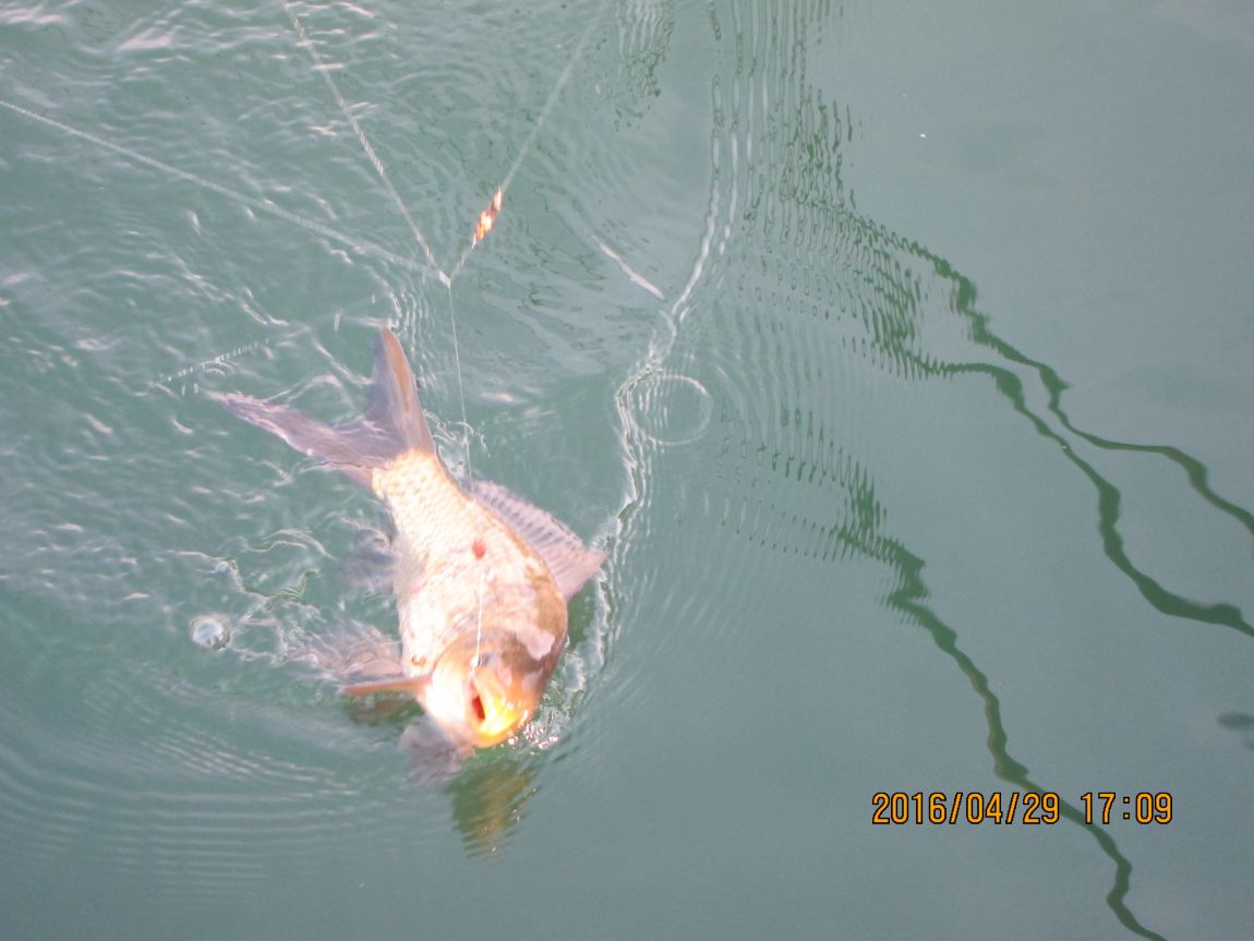 IMG_1742.JPG