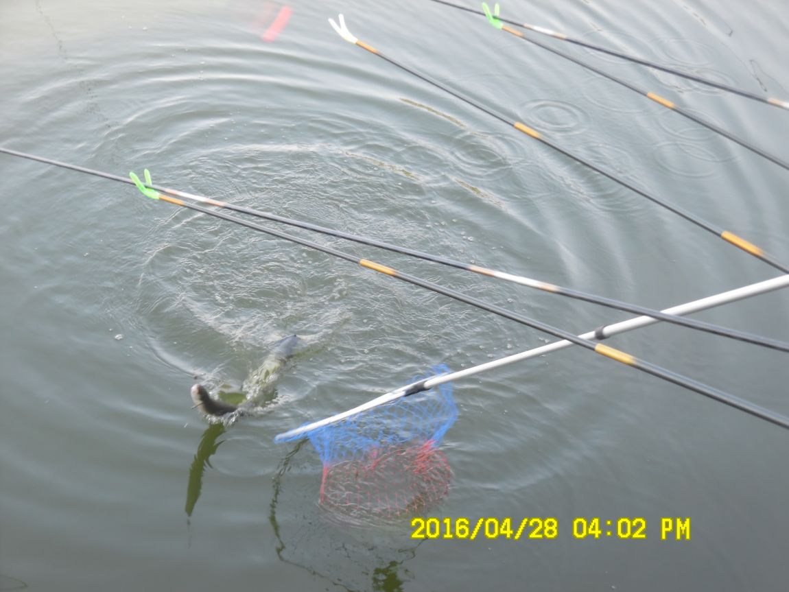 4��29�� 003.JPG