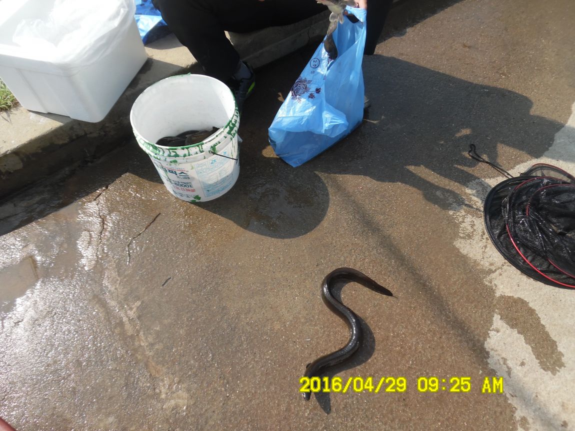 4��29�� 005.JPG